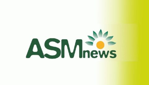 ASM News
